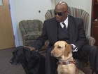 Blind man who fell on subway tracks gets new dog