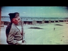 HD Stock Footage WWII Japanese Relocation and Internment
