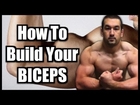 How To Build Biceps: Step-By-Step Guide