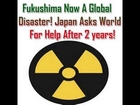 November 29 2013 Breaking News Fukushima worldwide Nuclear Crisis not contained Last Days News
