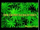 Cannabis Rising: The Key To Unlock Your Health Your Future In 2014