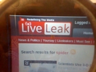 search for spider on LiveLeak