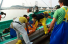 Radioactive Leak Impedes Japanese Fishing, Again