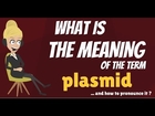 What is PLASMID? What does PLASMID mean? PLASMID meaning, definition & explanation