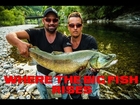 WHERE THE BIG FISH RISES, Part one Slovenia FULL MOVIE ( Fly fishing, Marble 