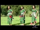 The Hottest New Ethiopian Music 2013 Asnake Cheru - Gojam Gojam Belu